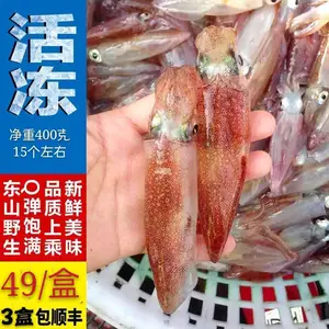 东山小管 活冻鱿鱼 小鱿鱼 甜脆爽口 鲜嫩美味 全国包邮