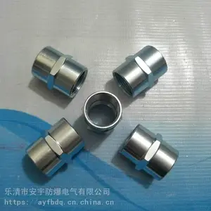 �����ܽ�ͷBGJ-G11/4˫��ExdII