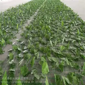 淄博带假叶子铺山网*铺山护山绿叶网*荒山覆盖绿化美化树叶网d