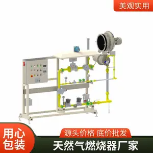 岱鼎品牌 量身设计焦炉煤气（荒煤气）烧嘴 低氮节能煤气燃烧器