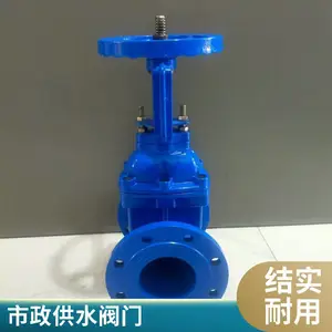 DN100 ��������բ�� ���ܷ�բ�� �������� ��ī���� ������ˮ ����ֱ�� ֧�ֶ���