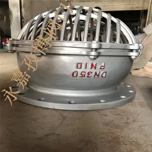 铸钢水泵底阀 H42H-16C DN800 大口径升降式法兰底阀 H42W 永嘉孜博阀门
