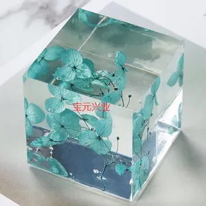 ��������걾����DIYģ����֬�걾����������װ�ν�ˮ����׹