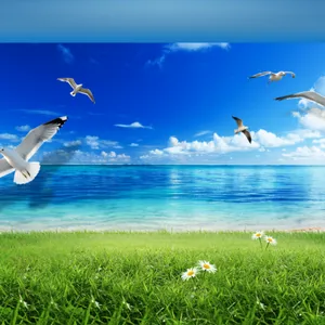 �����Ƕ��� ĸӤ��Ӿ��ǽ���� ǽ�ڱ���װ�κ�����԰���⺣�ྨ���ˮ