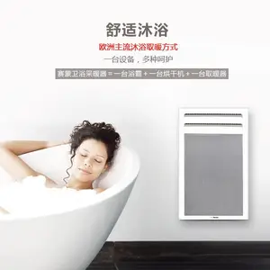 法国赛蒙AM2西狄亚电暖器全国集采