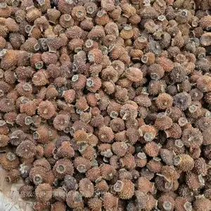 刺梨干果 刺梨果茶 果干果脯批发 2025新货