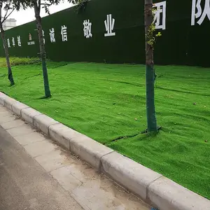 ������̨��Ƥ�ص� �ǻ��������ƺ ��ɫװ�η����Ƥ��̺