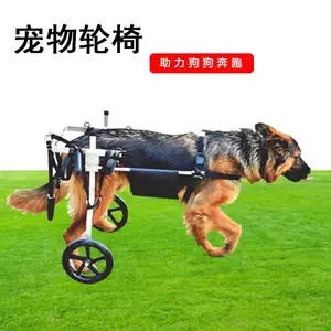 �������γ� ����֫�м������������� ���Ȳм������γ�