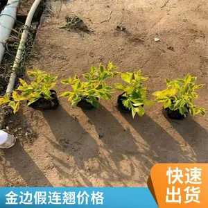 ׿�̴������� ��߼����̱��� ����ïʢ ��·�̻� �绰��ѯ