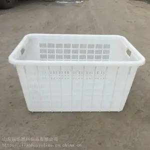 供应红提筐/水晶葡萄筐/人参果筐子/树莓筐子/马奶子塑料筐塑料箱周转筐