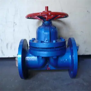 G41F46-16C �ķ���Ĥ�� PTFE/PFA̼�ֳ��ķ����﷧�� ��������