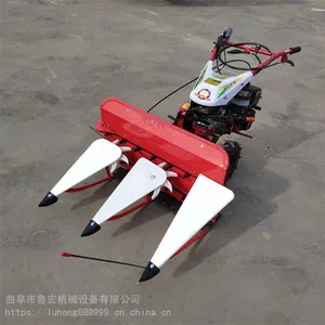 �̷��������ʵ����ո��/�ַ�ʽ�����ո��/��������֥���ɹ��
