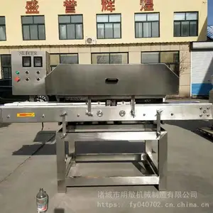 Ѽ����ˮƽ��Ƭ�� �����⿪��� ���ݼ�������Ƭ������ ��������