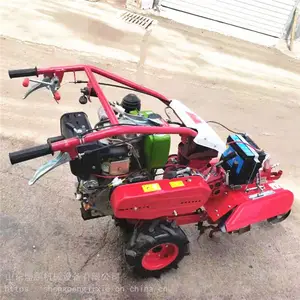 ���ʹ�������� ��԰������ �ַ���԰������