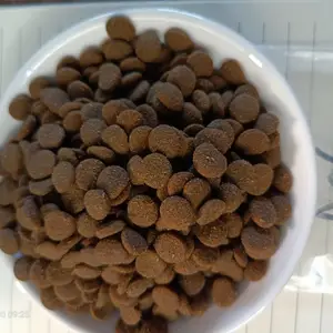 赛西宠物猫粮狗粮贴牌代加工,小批量猫狗粮***