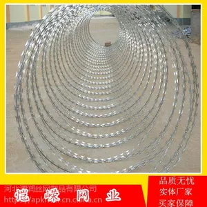 蚌埠哪儿能买到刺丝滚笼防护围栏网?
