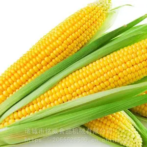 ������ϴ�� ����ȥ�������