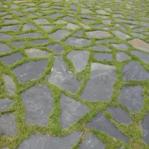 ���������������̵��޹�����ʯƬʯ2-3���ֺ���ǽ������ʯ