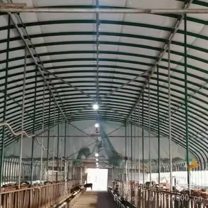 建设养牛大棚 养牛场牛棚规划设计 肉牛养殖棚建造厂家