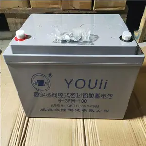 YOULI��������GFM-300 2V300AH ������ά��ֱ����UPS��վ����