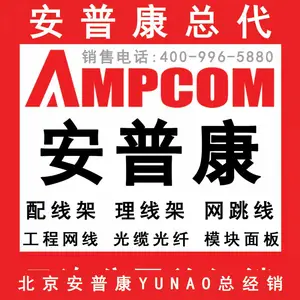 ���տ����ߵ��Լ�����߳����ിͭ����POE����305��AMC5E48305 ���տ�(AMPCOM