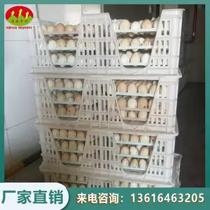 �࿪�ڼ����� �ּ�������� ����ȡ�������ϵ��� ��ϵ���ʹ�õ��ֵ���