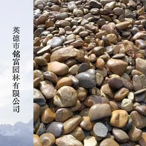 杂色抛光鹅卵石 园林景观造景装饰小石头 5-8公分鹅卵石厂家