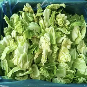 杞动能量速冻团餐净菜学校食堂专业蔬菜手撕包菜方便快捷散装