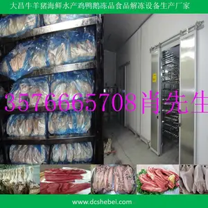 小型牛肉猪肉牛肉解冻设备