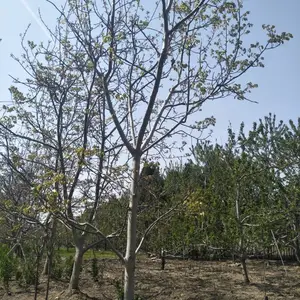 ǿ�غ����� ������������