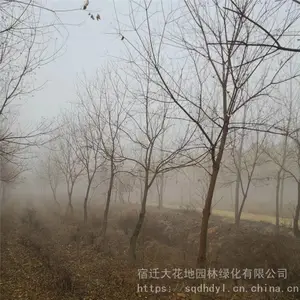 �ؾ�12�����������۸����Ǯһ�ñ���420Ԫ�е����������