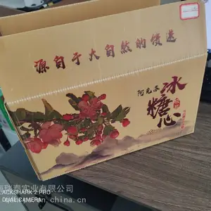 现货供应青岛塑料万通板苹果包装箱 量大***可定制