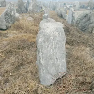 ����ʯͷ��Ȼ�羰ʯ ������Ȼѩ��ʯ ̩ɽʯ����԰��ͥԺ�廧��ڼ� ��ľʯ ��������