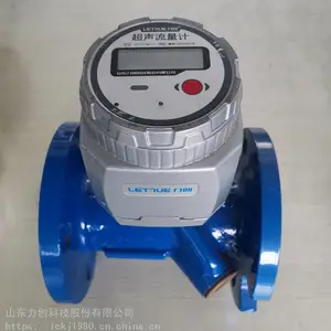 力创大口径超声波水表,超声波流量计