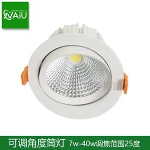 36W 42W LED�ɵ��Ƕ�Ͳ��� ��ѣ���컨�� 4��5�簵װͲ��