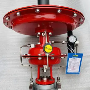 SENMA����ʽ��Ĥ΢ѹ���ڷ�ZZYVP-16P�������ⷧ