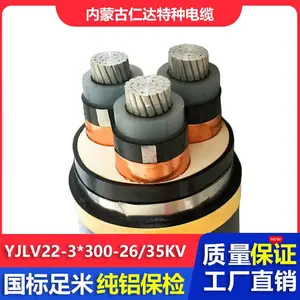 仁达电缆 国标电线 YJLV22 26/35KV 高压电力电缆 3*300mm? 铝芯铠装线