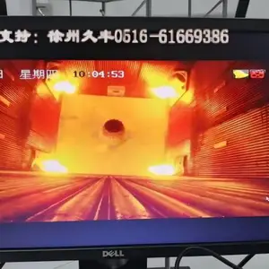 内窥式高温炉膛火焰观测工业电视 炉膛火焰电视 看火监控 高温内窥摄像机 电厂高温工业电视 提供定制化解决方案