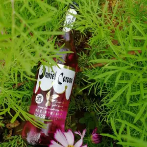 新疆苏打酒生产厂家高品质苏打酒代工批发苏打酒贴牌!