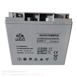 ˫������6-GFM-24 ����Ǧ����ά��12V24AH��������Ӧ����Դר��