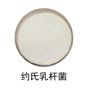 约氏乳杆菌-食品级冻干型乳酸菌粉 活性益生菌原料