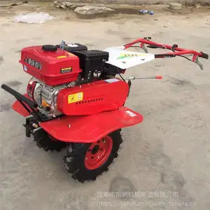 ***����������/���͸��ػ��ͺ�/��԰***������