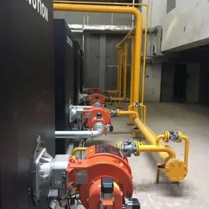 �����BALTUR�͵�ȼ����TBG750LXMEFGR��������ȼ��ȼ����