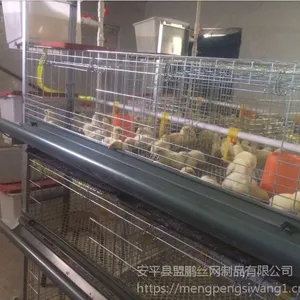 河北盟鹏鸡笼厂生产批发 层叠式三层热镀锌肉鸡笼 上料机 清粪机
