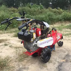 ���������ֲ������ �ַ�ʽ��п�������������