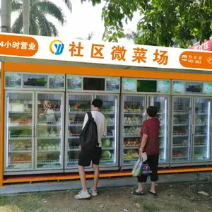 智能无人生鲜自动售货机 生鲜自动售货机工厂 蔬菜水果售卖机多少钱