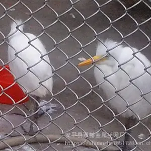 供应杭州　中型狗笼子 藏獒笼子