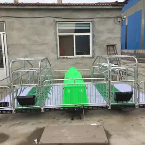 厂家供应母猪产床 猪床 养猪场专用猪床 新款欧式产床 养猪设备
