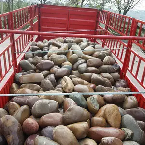 公园铺路鹅卵石 山东诺诺鹅卵石生产厂家