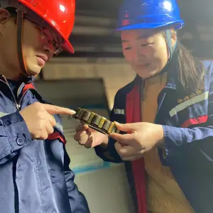 用于淀粉分离福乐伟Z5E离心机维修
